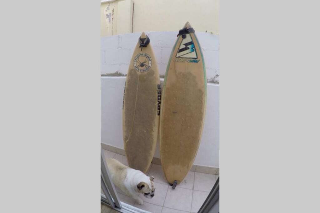 Surfboards Included In Your Stay!!! Tijuana Exteriör bild